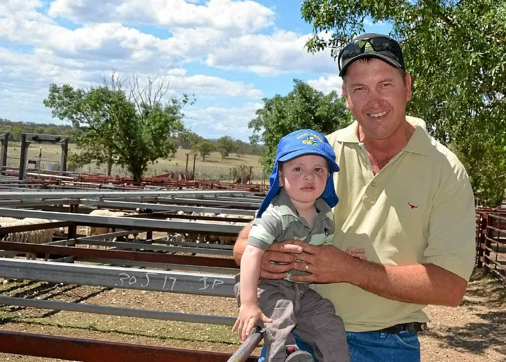 GOOD TIMES FOR FEED INDUSTRY: David Joppich with his son, Archie, at Warwick sheep sale. GOOD TIMES FOR FEED INDUSTRY: David Joppich with his son, Archie, at Warwick sheep sale.